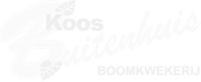 Boomkwekerij buitenhuis logo